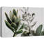 "Gros plan sur des plantes grasses vertes et blanches, plantes florales, photographie panoramique" sur-99543739