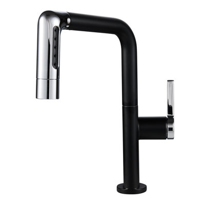 17 Stories Pull Out Kitchen Faucet