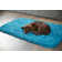 Buddy Teal Rug
