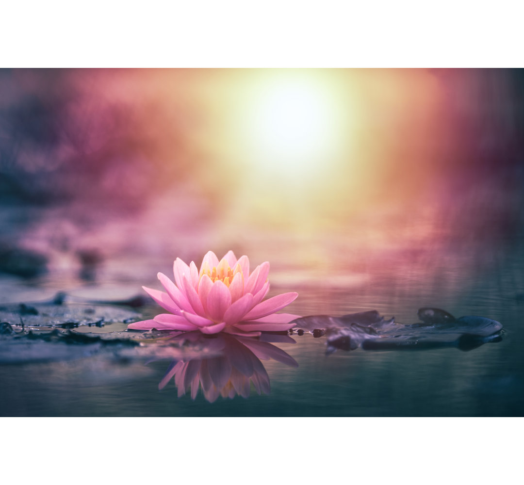 Lotus Flower In Water Hokku Designs