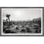 Joshua Trees - Single Picture Frame Print-2035830735