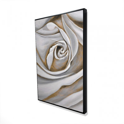" White Rose Closeup "