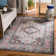 Villanova Performance Oriental Rug