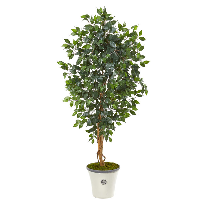 Ficus Artificial Tree in Decorative Planter