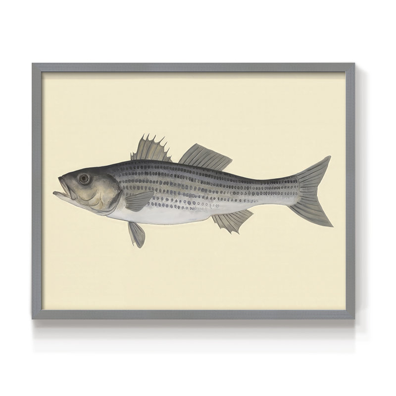 Espèces d'eau salée I - reproduction encadrée - réaménageable, H 11 po x l 14 po, Gris