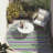 Lovell Washable Striped Indoor / Outdoor Rug-1669762078
