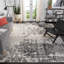 Arlinda Abstract Light Grey/Grey Area Rug-38054984