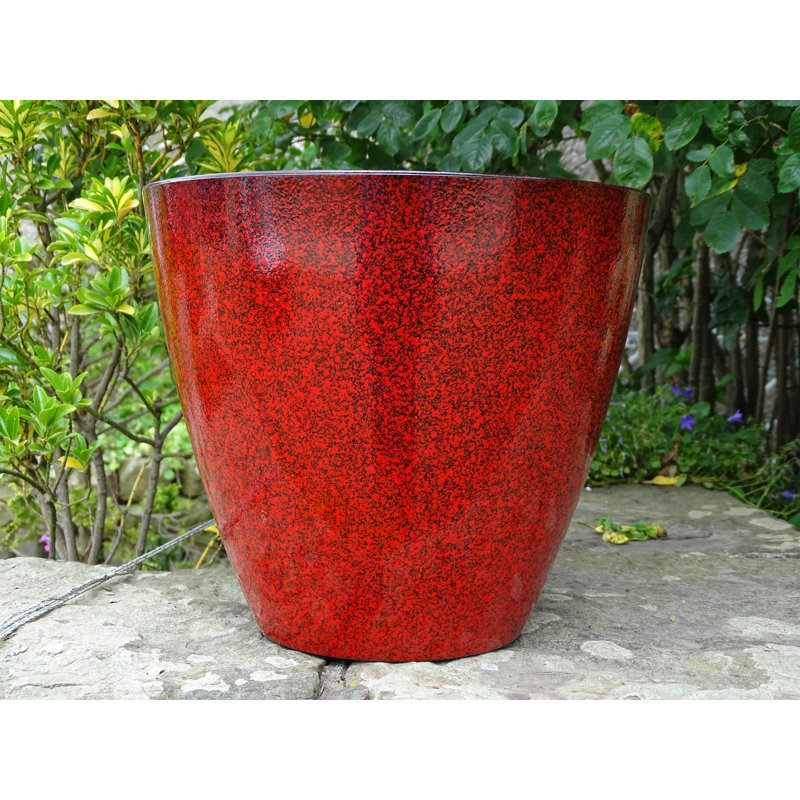 Alexaundrea Pot Planter