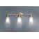 Eva 3-Light Vanity Light