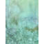Foggy Morning Print by Trish Sierer-65797245-65797244