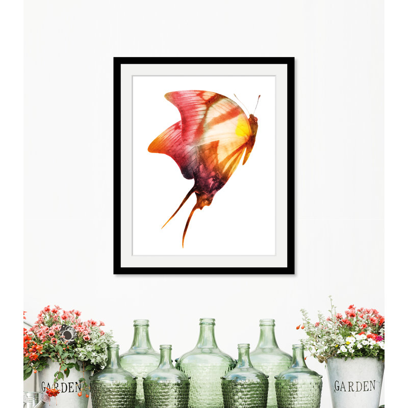 Butterfly - Single Picture Frame Print, 60 cm H x 50 cm W