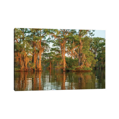 USA, Louisiana, Atchafalaya National Wildlife Refuge. Sunrise on swamp. 1 Piece Wrapped Canvas Wall Art