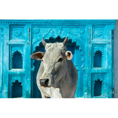 " Indian Holy Cow " by Master2