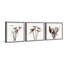 Triptyque rustique de pissenlit-951055656