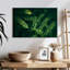 Feuilles d'acacia Harnek-108880041