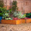 Raised Garden Bed-1136852205
