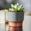 Pot à fleur en plastique Javette