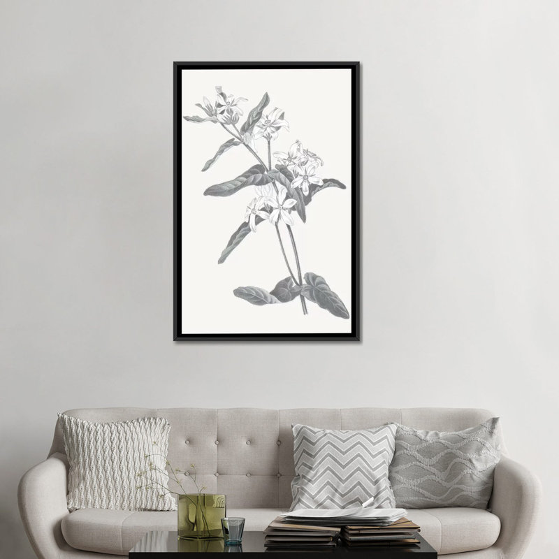 « neutral botanique iv », reproduction d’impression sur toile tendue, H 26 po x l 18 po x P 1,5 po, Toile avec cadre noir