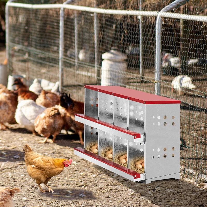 Boîte de nid à volaille en métal à 8 compartiments pour poules et poules