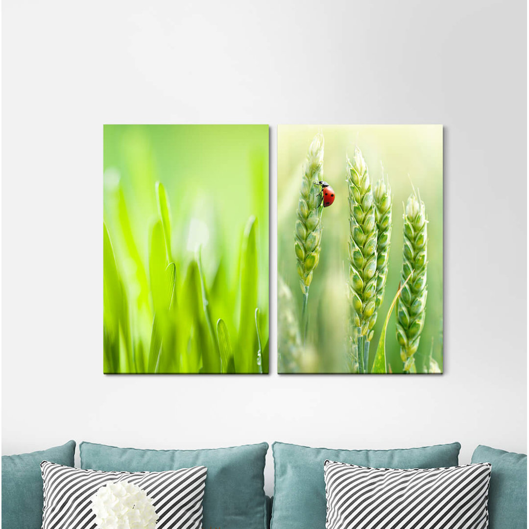 2-tlg. Leinwandbilder-Set - Fotografie „Grass Green Wheat Ladybird Summer Light Green Calming”