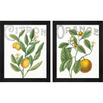 «Classic Citrus» par Sue Schlabach, art encadré (ensemble de 2)