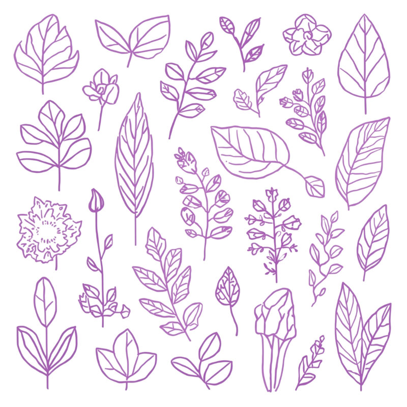 Coussins décoratifs mauves, 14 X 14 pouces