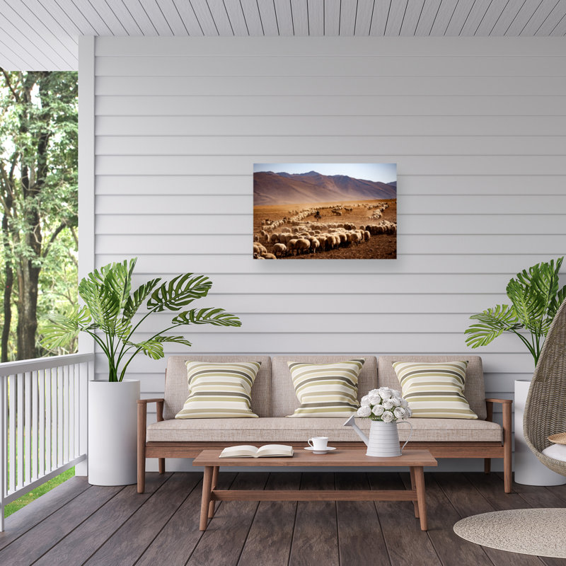 «Desert Sheep Herd on Canvas» par Murat Cacim, reproduction, H 16 po x l 24 po