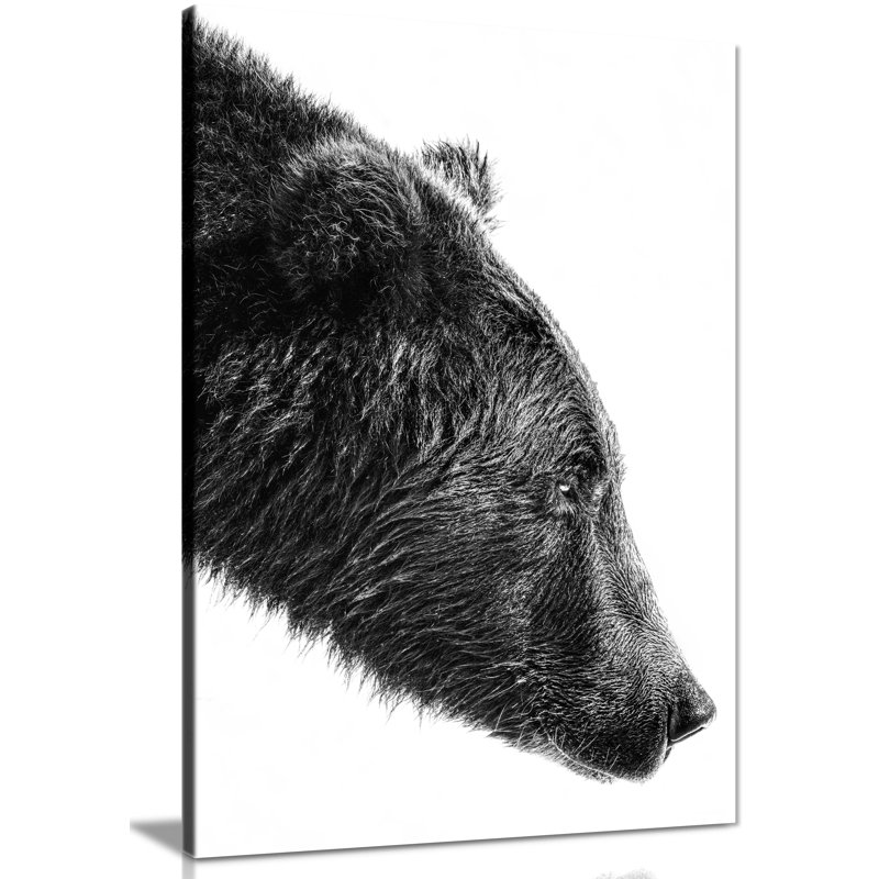 Bear Close Up - Wrapped Canvas Print, 76cm H x 51cm W x 1.8cm D