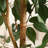 Adcock Artificial Ficus Tree in Pot with Realistic Leaves and Natural Trunk-1524888436
