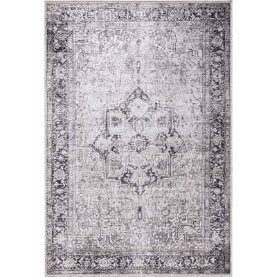 Devendr Oriental Indoor Rug