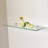 Glass Accent Shelf with Adjustable Shelves-1349760306-1407219995