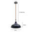 Moorton 1 - Light Single Pendant-1051926651