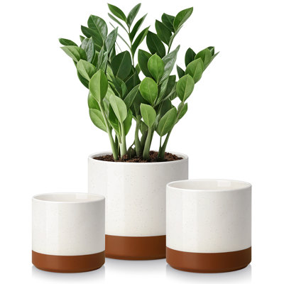 ZTHPOT Ceramic Pot Planter