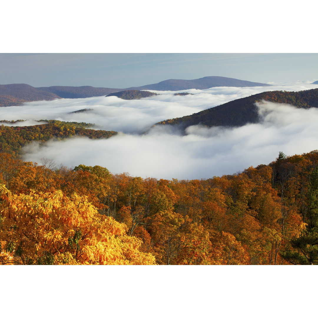 Shenandoah National Park von Beklaus - Kunstdrucke auf Leinwand