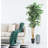 Faux Ficus Tree in Planter-62910020
