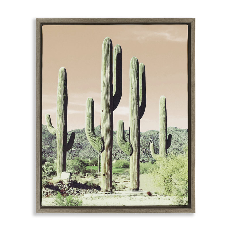 «Sunrise Cactus Scene», art mural encadré par Susan Bryant, H 21 po x l 17 po, Cadre flottant métallique doré