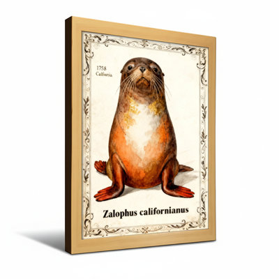 Animaux, otarie de Californie, portrait