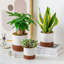 FLHPOT Ceramic Pot Planter-332050592