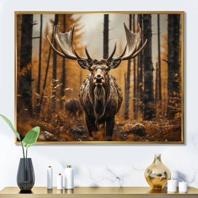 " Brown Yellow Moose Earthly Essence "