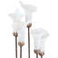 Lampe de table chandelier 19,5 "H Calla