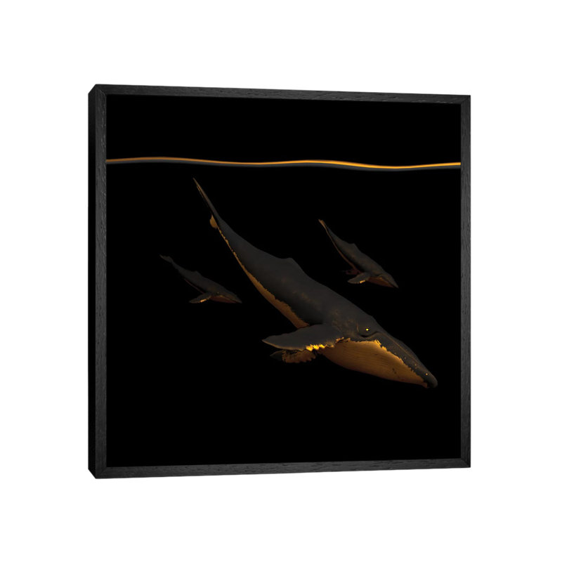 Bond III - Print on Canvas, Black Framed, 66.04 cm H x 66.04 cm W