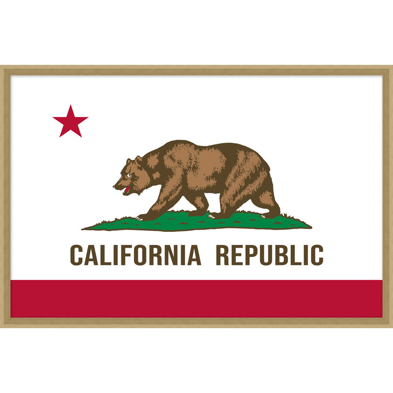 Flag Of Cali Print by Nathan Turner