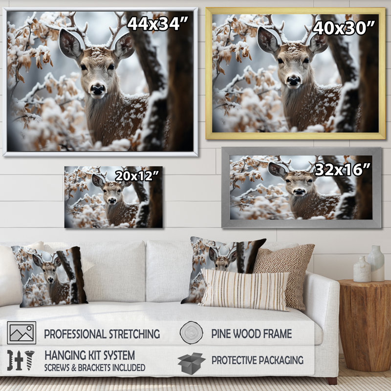Winter Deer Monochrome Photography I - Animals Wall Art Prints, H 34 po x l 44 po x P 1,5 po, Cadre naturel flottant