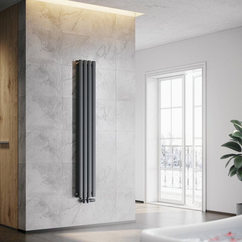 Shalanda Vertical Oval Panel Radiators, Anthracite, 160cm H x 23.6cm W