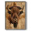ANIMALS Series CDXCVI, reproduction encadrée - bois massif