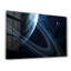 Decorative Tempered Glass Painting