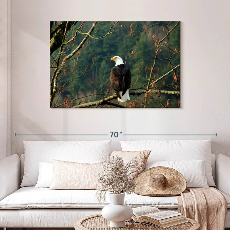 Brampt Perched Canadian Bald Eagle, 30" H x 45" W