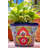 Talavera Ceramic Pot Planter