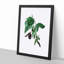 Black Mulberry Plant Illustration - Picture Frame Art Print-55512497-55512496