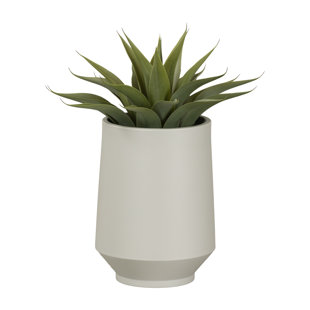 Dalya Pot Planter